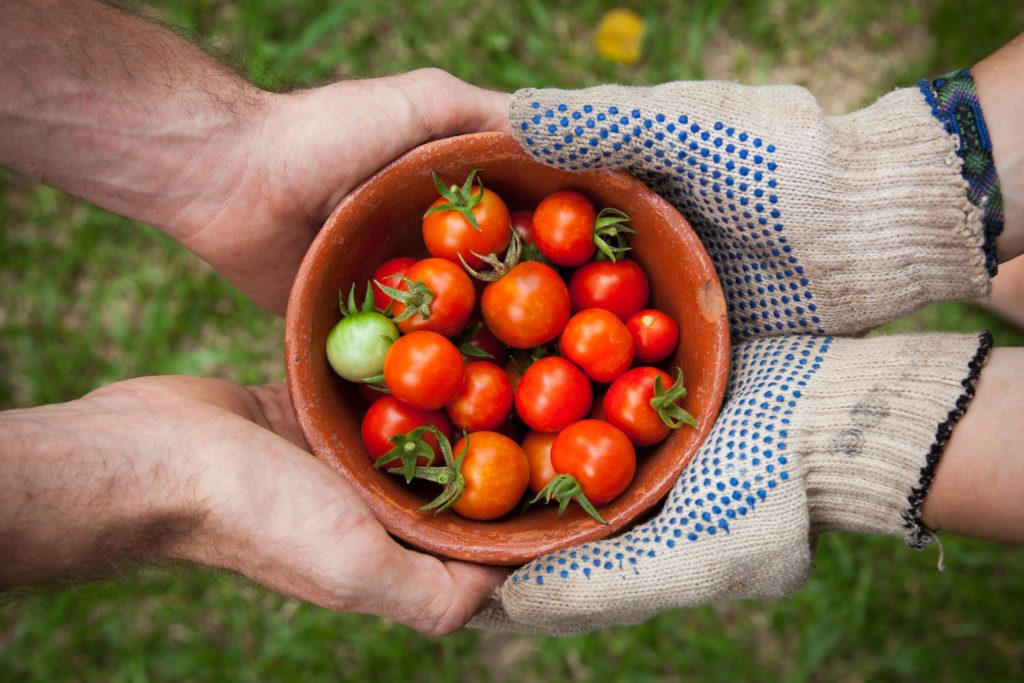 Swansea groups to receive food poverty grants