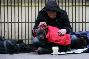 dog on top of person's lap while sitting on ground at daytime