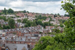 Sheffield Council significantly hindered a recent investigation into tree-felling scandal