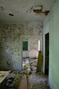 white wooden door near white and brown floral wall