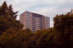 green trees near white concrete building during daytime