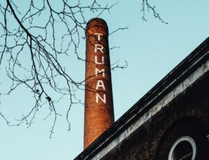 brown and black concrete building