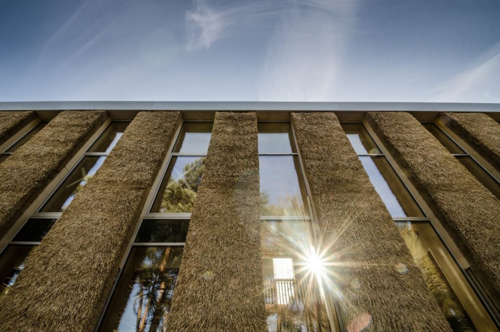 Building for tomorrow: How regenerative construction can redefine the built environment