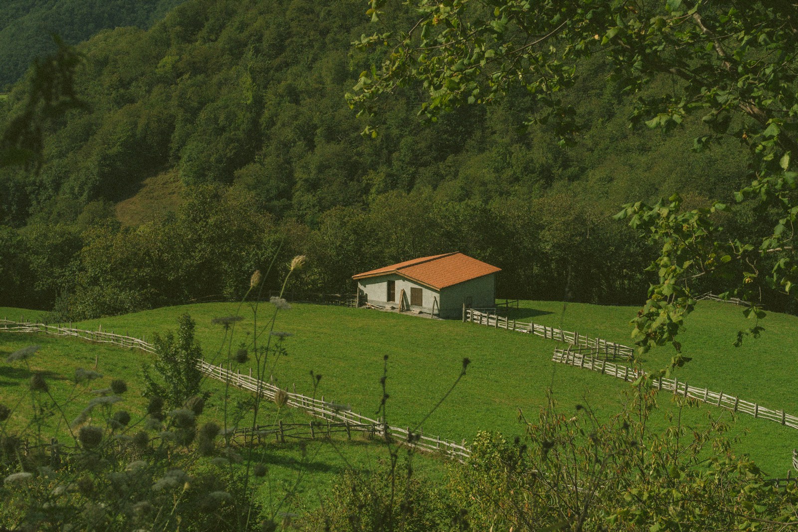 Only 20% of rural councils plan to build social homes, research shows