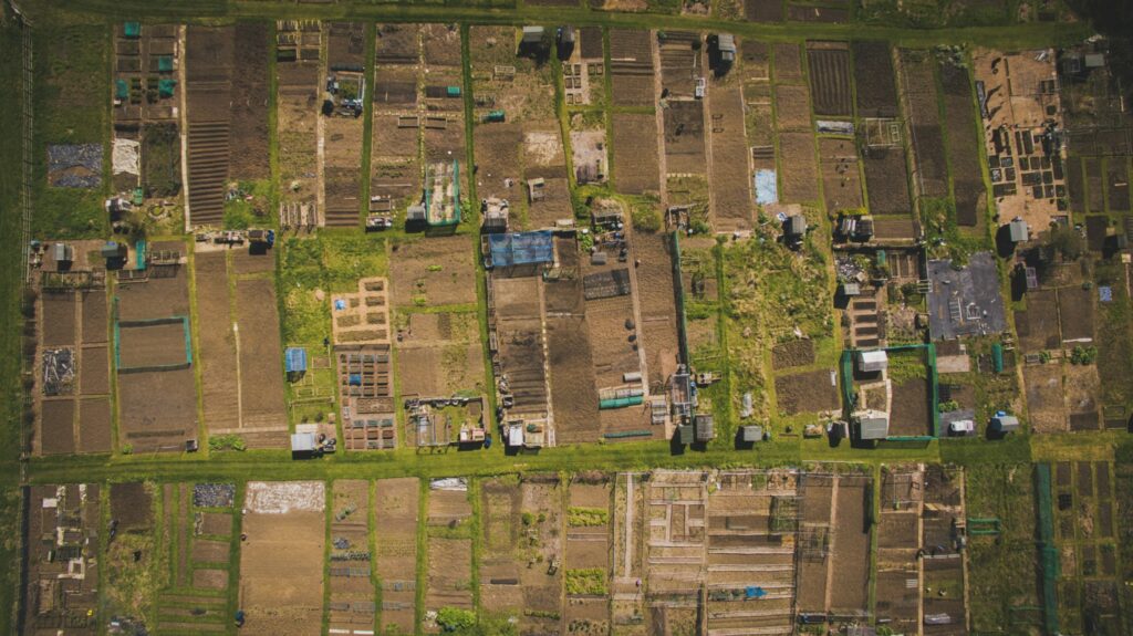Allotments on new developments: planning priority or optional amenity?