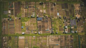 Allotments on new developments: planning priority or optional amenity?