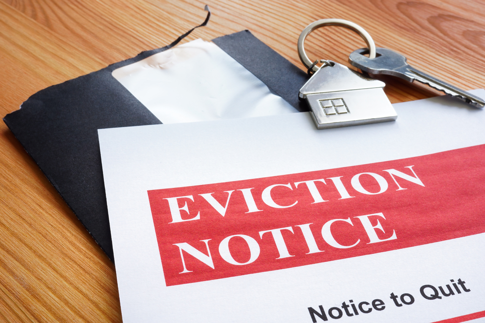 New lease: everything you need to know about the Renters’ Rights Act