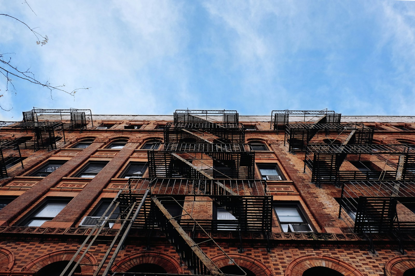 New York mould scheme cuts asthma emergency visits