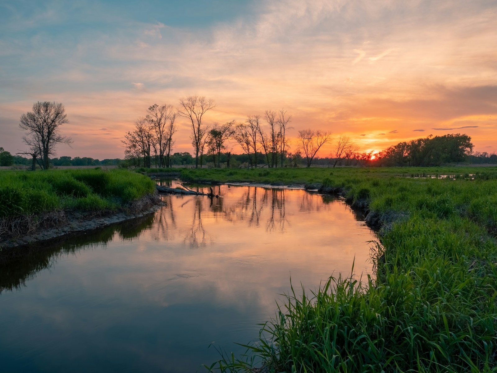 Green infrastructure plan puts nature in the frame