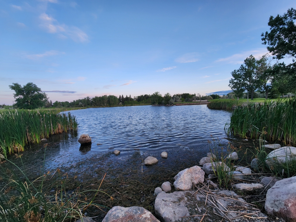 Green loopholes: England’s poorest areas lose out on nature