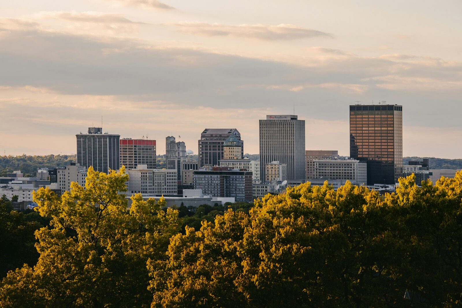Urban woodlands linked to reduced antidepressant use