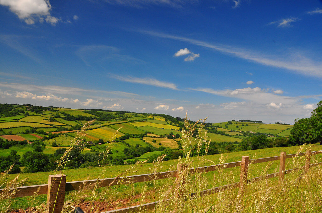 Natural England streamlines planning advice